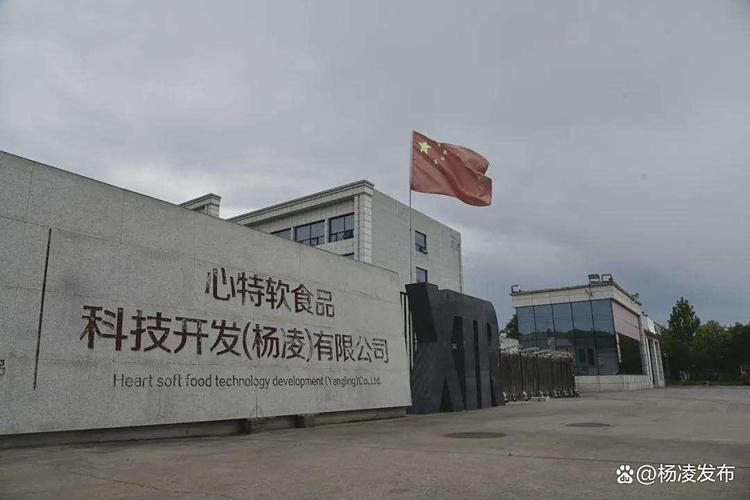 楊凌心特軟食品:致力打造糕點行業"樣板工廠"